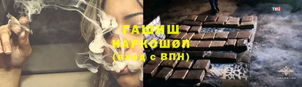 гидра Абаза