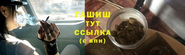 гидра Абаза