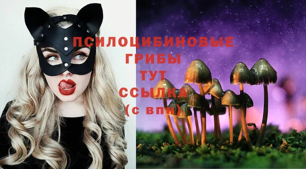 ПСИЛОЦИБИНОВЫЕ ГРИБЫ Алзамай