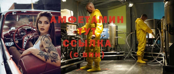 ПСИЛОЦИБИНОВЫЕ ГРИБЫ Алзамай