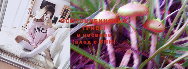 гидропоника Абдулино