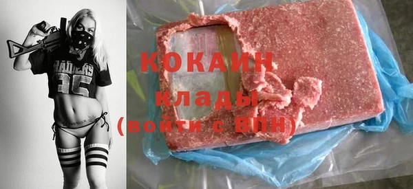 гидра Абаза