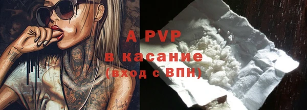 гидра Абаза